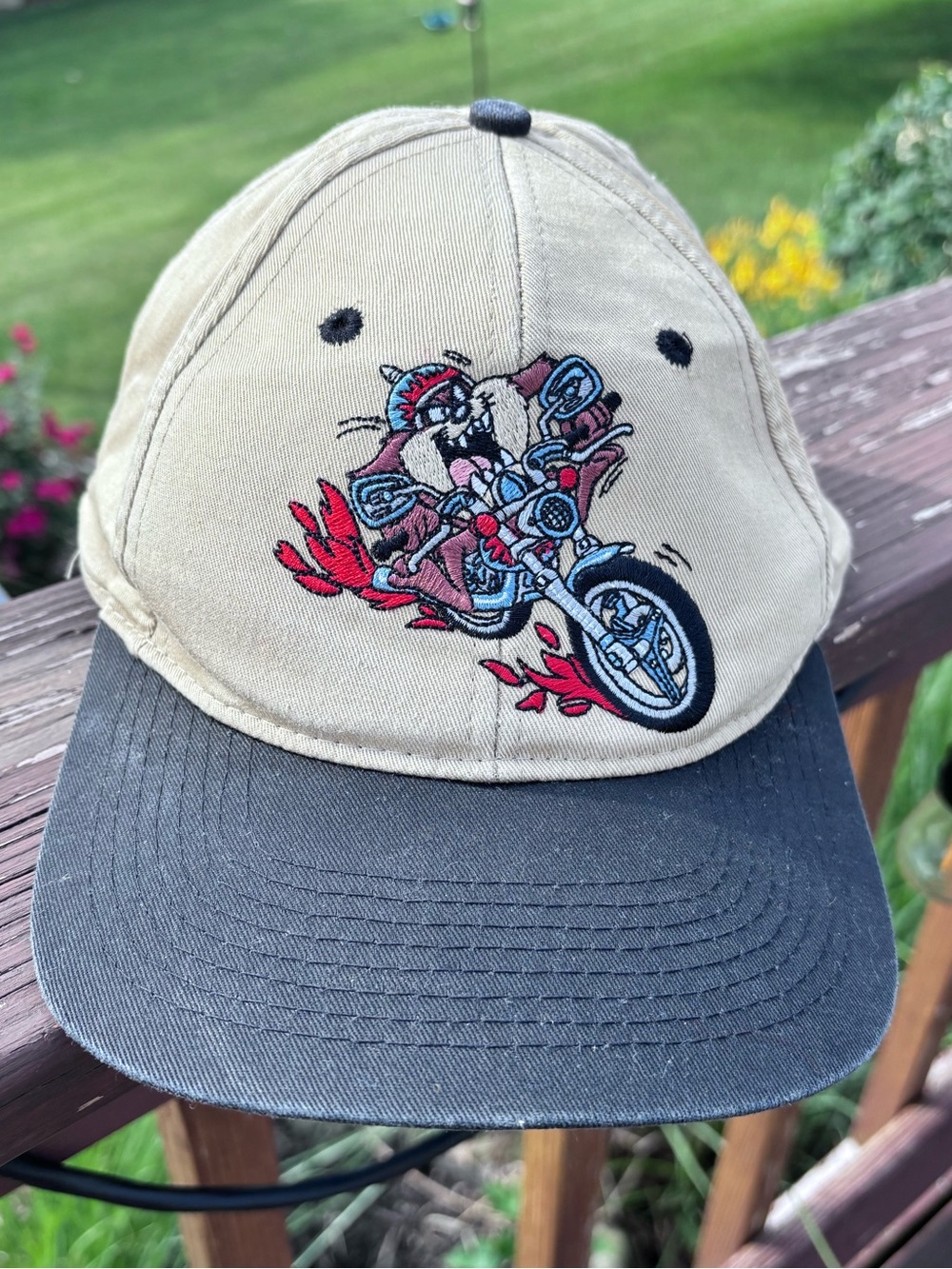 90’s Taz Tasmanian Devil Hat Cap Snapback Cartoon Rare Looney Tunes Motorcycle